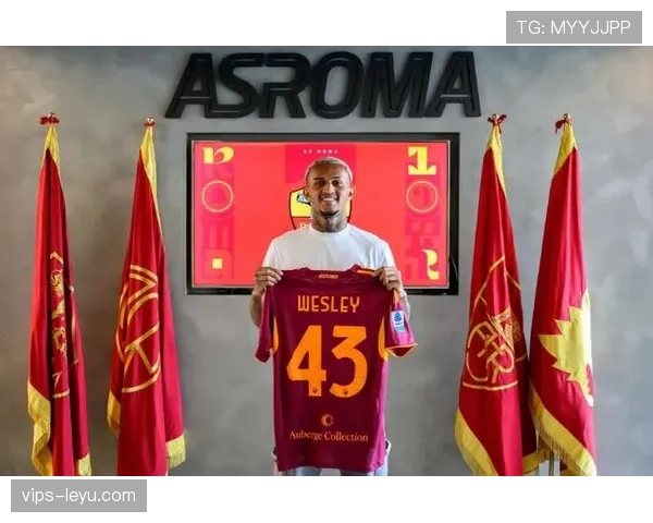 维罗纳革新阵容布局，新赛季战术蓝图浮现