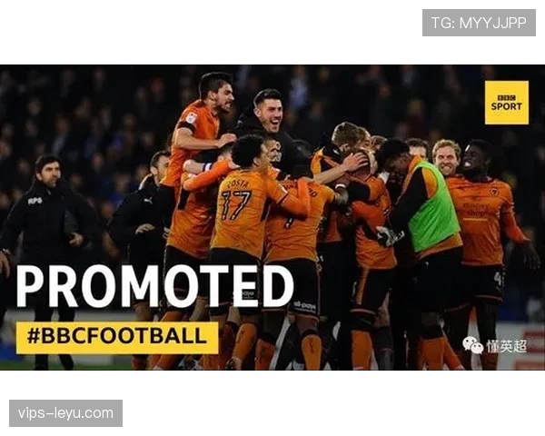 诺维奇冲超失利，重返英超前景蒙阴