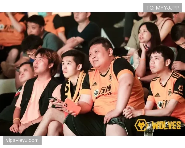 狼队新球场盛大启用，球迷畅享全新观赛体验