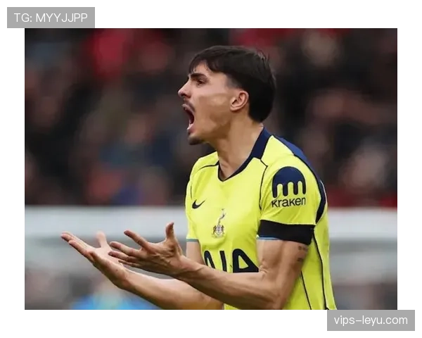 帕利尼亚：从葡超主力到英超重金引援的生涯跃迁